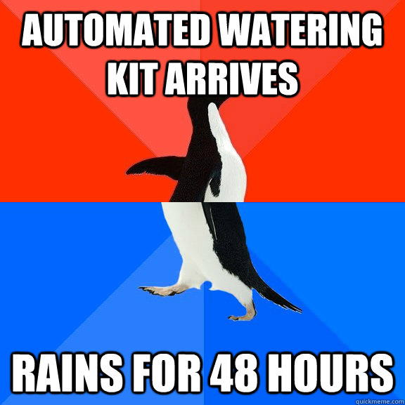 Automated watering kit arrives Rains for 48 hours  Socially Awesome Awkward Penguin