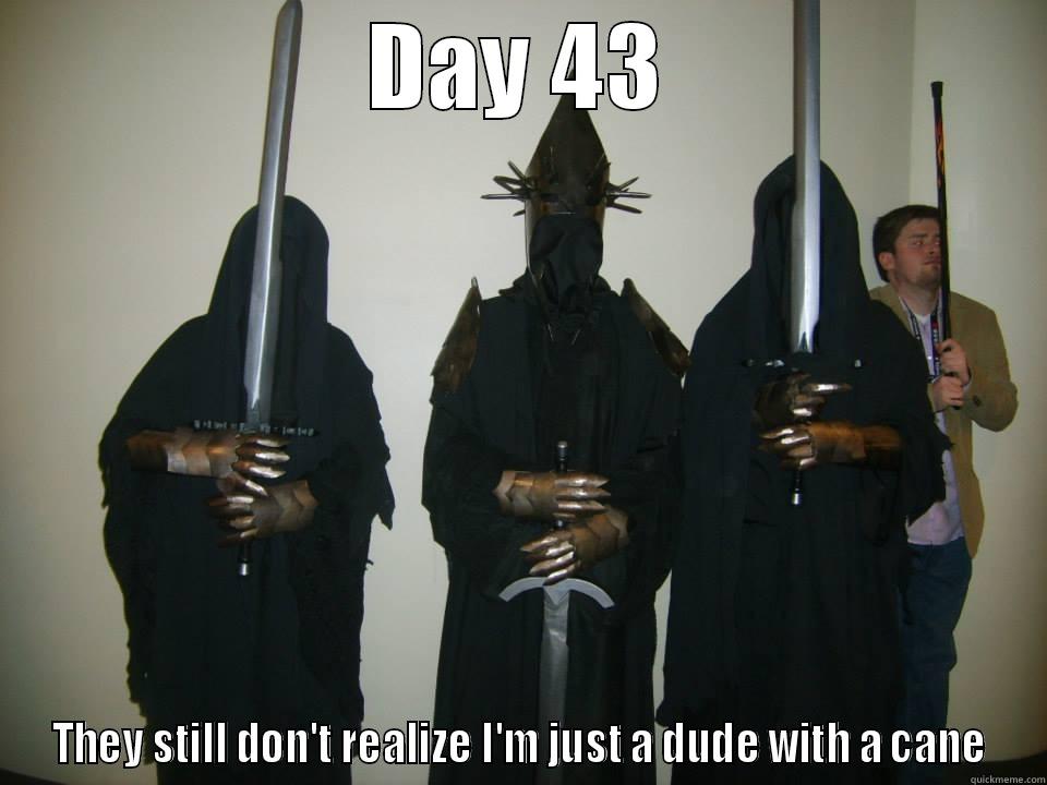 DAY 43 THEY STILL DON'T REALIZE I'M JUST A DUDE WITH A CANE Misc