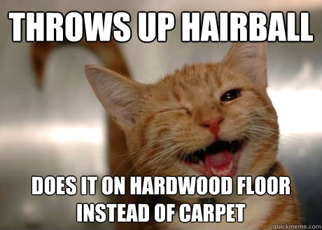 Throws up hairball Does it on hardwood floor instead of carpet - Throws up hairball Does it on hardwood floor instead of carpet  GoodGuyCat