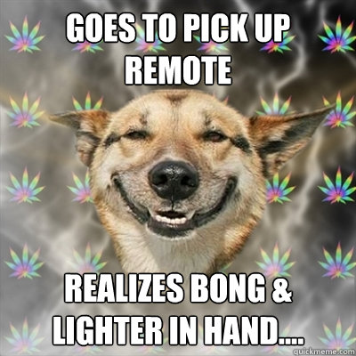 goes to pick up remote  realizes bong & lighter in hand....  Stoner Dog