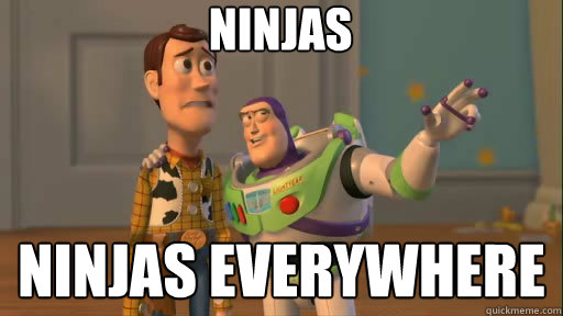 Ninjas ninjas everywhere  Everywhere