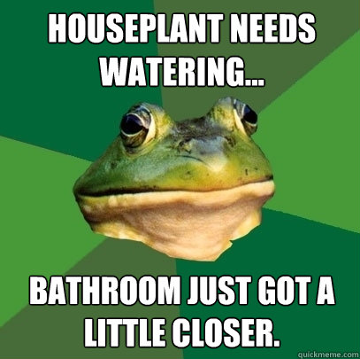 houseplant needs watering... Bathroom just got a little closer.  Foul Bachelor Frog