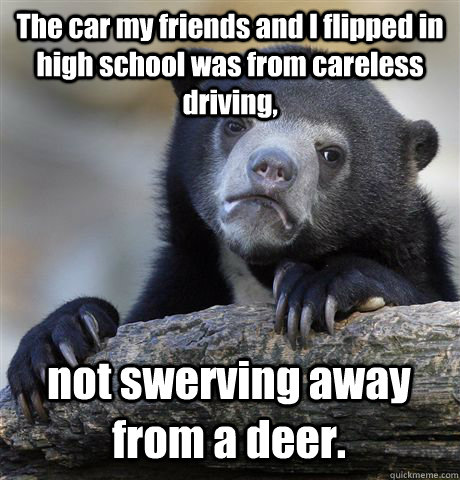 The car my friends and I flipped in high school was from careless driving, not swerving away from a deer.  Confession Bear