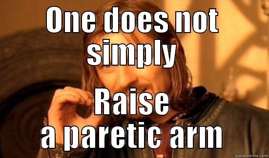 ONE DOES NOT SIMPLY RAISE A PARETIC ARM Boromir