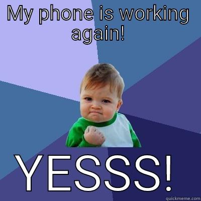My phone is working - MY PHONE IS WORKING AGAIN! YESSS! Success Kid
