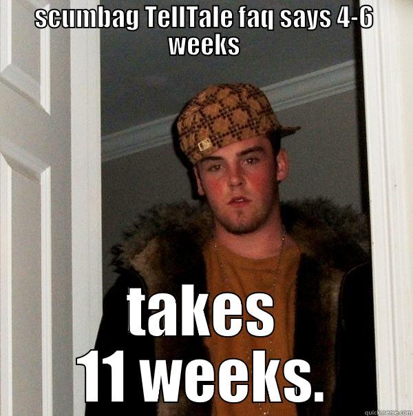 seriously though? - SCUMBAG TELLTALE FAQ SAYS 4-6 WEEKS TAKES 11 WEEKS. Scumbag Steve
