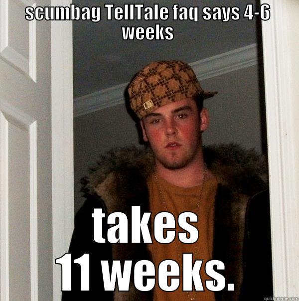 SCUMBAG TELLTALE FAQ SAYS 4-6 WEEKS TAKES 11 WEEKS. Scumbag Steve