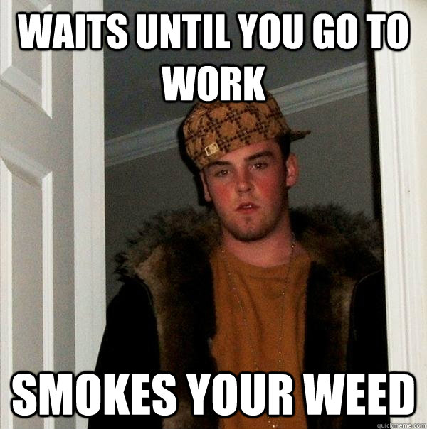 waits until you go to work smokes your weed  Scumbag Steve