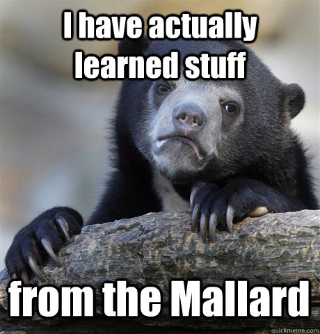 I have actually learned stuff from the Mallard - I have actually learned stuff from the Mallard  Confession Bear