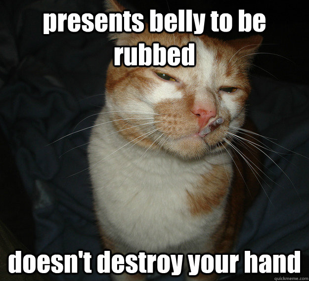 presents belly to be rubbed doesn't destroy your hand  Cool Cat Craig
