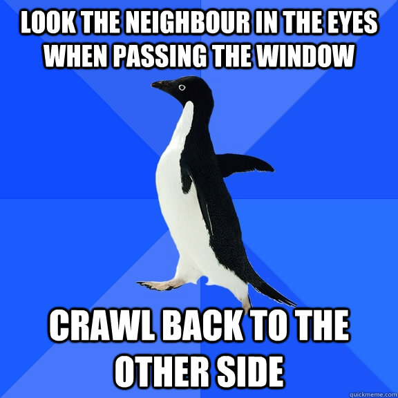 look the neighbour in the eyes when passing the window crawl back to the other side  Socially Awkward Penguin