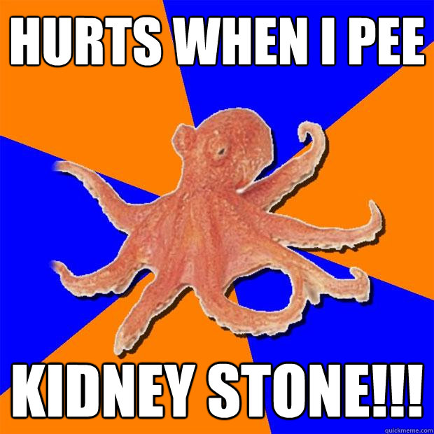 Hurts when I PEE KIDNEY STONE!!!  Online Diagnosis Octopus