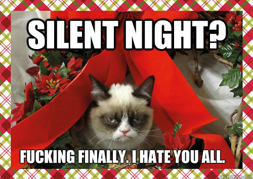 Silent night? Fucking finally. I hate you all. - Silent night? Fucking finally. I hate you all.  merry christmas