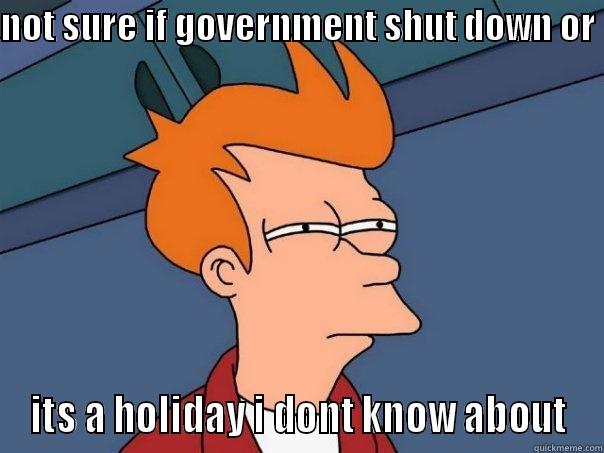 NOT SURE IF GOVERNMENT SHUT DOWN OR  ITS A HOLIDAY I DONT KNOW ABOUT Futurama Fry