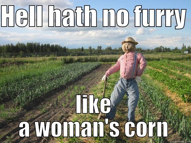HELL HATH NO FURRY  LIKE A WOMAN'S CORN Scarecrow