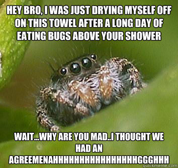 hey bro, i was just drying myself off on this towel after a long day of eating bugs above your shower wait...why are you mad..i thought we had an agreemenAHHHHHHHHHHHHHHHHGGGHHH  Misunderstood Spider