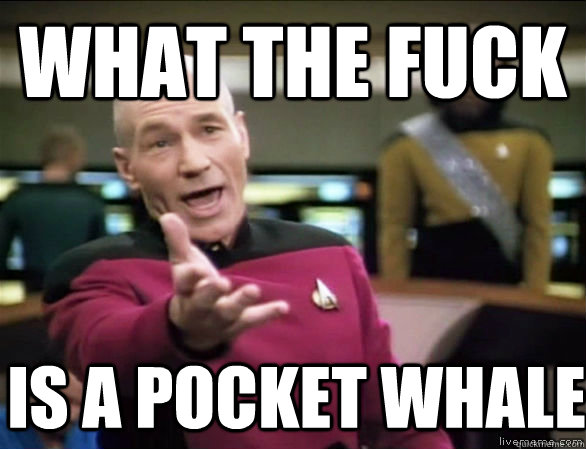 what the fuck is a pocket whale  Annoyed Picard HD