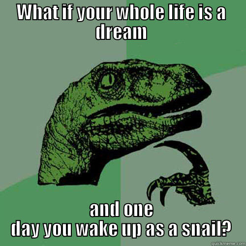 WHAT IF YOUR WHOLE LIFE IS A DREAM AND ONE DAY YOU WAKE UP AS A SNAIL? Philosoraptor