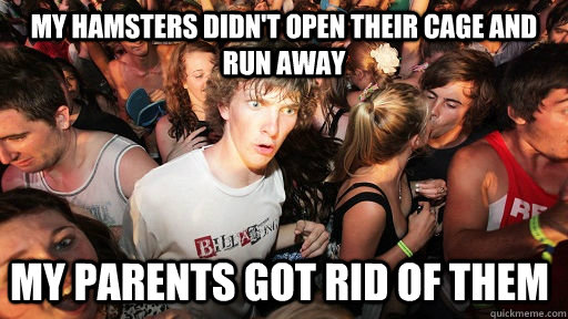 my hamsters didn't open their cage and run away my parents got rid of them  Sudden Clarity Clarence