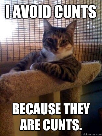 I avoid cunts because they are cunts.   The Most Interesting Cat in the World