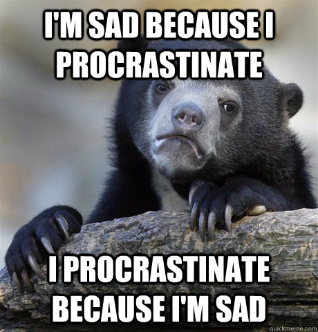 I'm sad because i procrastinate i procrastinate because i'm sad  Confession Bear