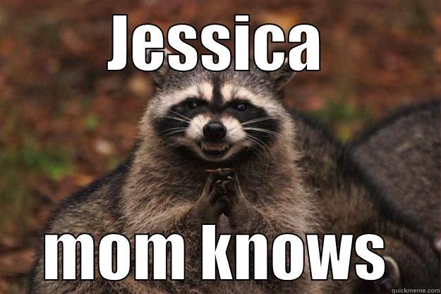 JESSICA MOM KNOWS Evil Plotting Raccoon