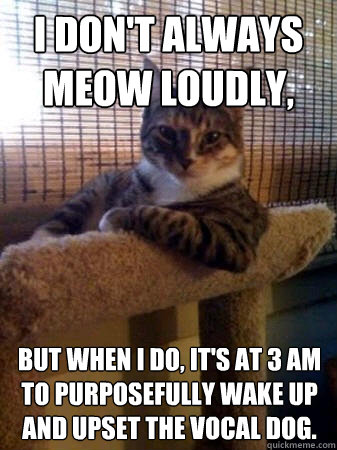 I don't always meow loudly, But when I do, it's at 3 am to purposefully wake up and upset the vocal dog. - I don't always meow loudly, But when I do, it's at 3 am to purposefully wake up and upset the vocal dog.  The Most Interesting Cat in the World