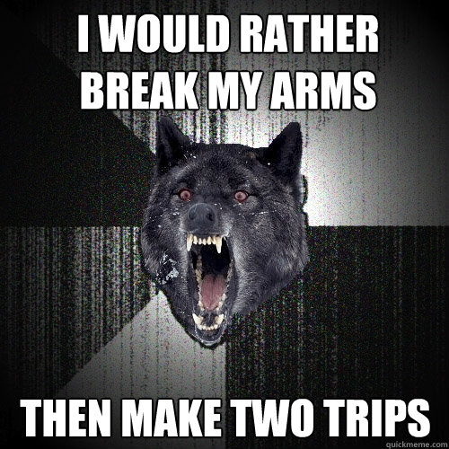 I would rather break my arms then make two trips  Insanity Wolf