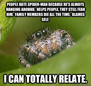 People hate Spider-man because he's always hanging around.  Helps people, they still fear him.  Family members die all the time.  Blames self. I can totally relate.  Misunderstood Spider