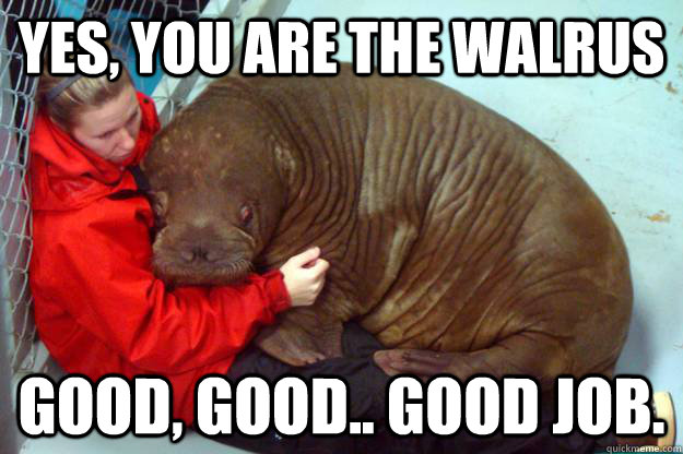Yes, you are the walrus Good, good.. good job. - Yes, you are the walrus Good, good.. good job.  Did I get it right
