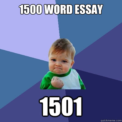 1500 word essay 1501  Success Kid