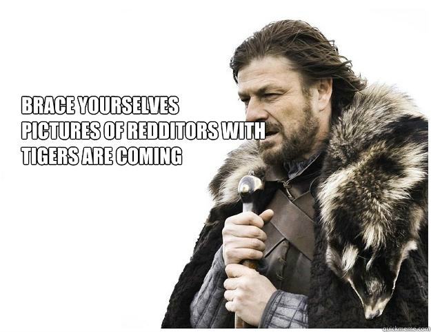 Brace yourselves
Pictures of redditors with tigers are coming  Imminent Ned