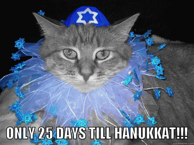     ONLY 25 DAYS TILL HANUKKAT!!!  Misc