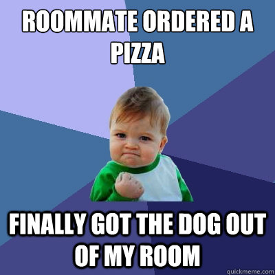 Roommate ordered a pizza Finally got the dog out of my room  Success Kid