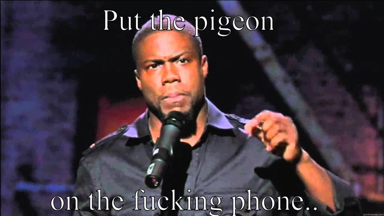 PUT THE PIGEON ON THE FUCKING PHONE..  Misc