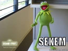                                      SEKEM Misc