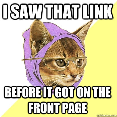 I saw that link before it got on the front page  Hipster Kitty