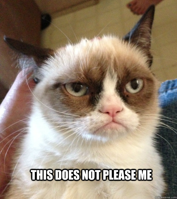This does not please me  Displeased Cat