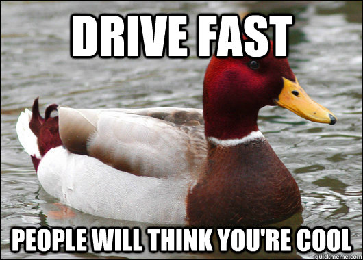 Drive fast People will think you're cool   Malicious Advice Mallard