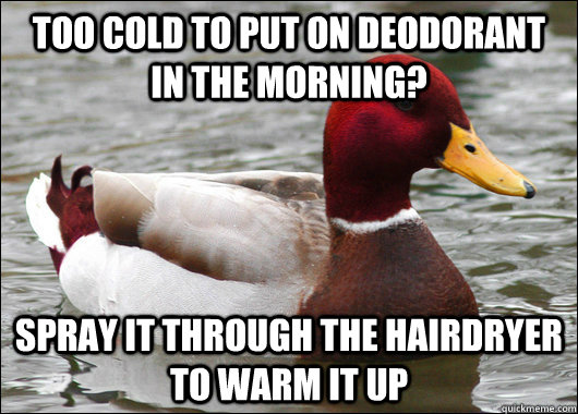 Too cold to put on deodorant in the morning? Spray it through the hairdryer to warm it up  Malicious Advice Mallard