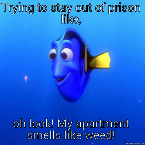 TRYING TO STAY OUT OF PRISON LIKE, OH LOOK! MY APARTMENT SMELLS LIKE WEED! dory