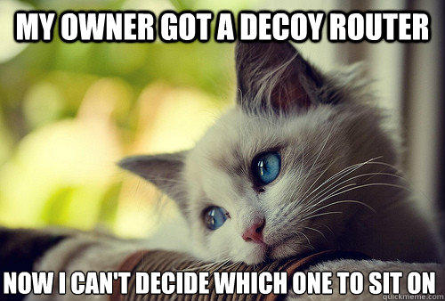 my owner got a decoy router now I can't decide which one to sit on  First World Problems Cat