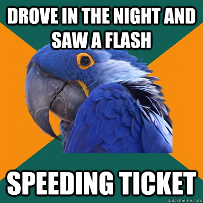 drove in the night and saw a flash speeding ticket  Paranoid Parrot