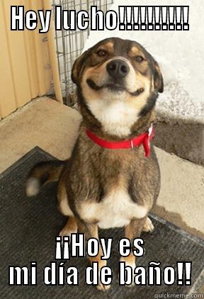 HEY LUCHO!!!!!!!!!! ¡¡HOY ES MI DÍA DE BAÑO!! Good Dog Greg
