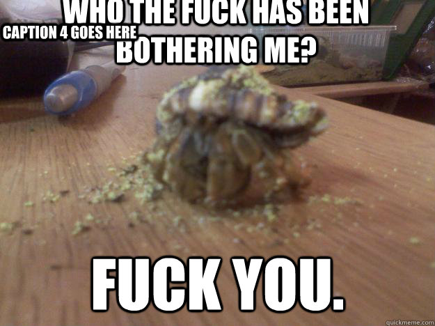 Who the fuck has been bothering me? Fuck you. Caption 3 goes here Caption 4 goes here  Hermit Crab