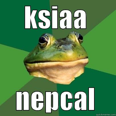 KSIAA NEPCAL Foul Bachelor Frog