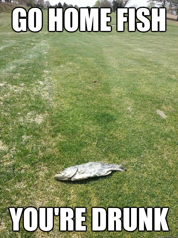 Go home fish you're drunk - Go home fish you're drunk  Drunk fish