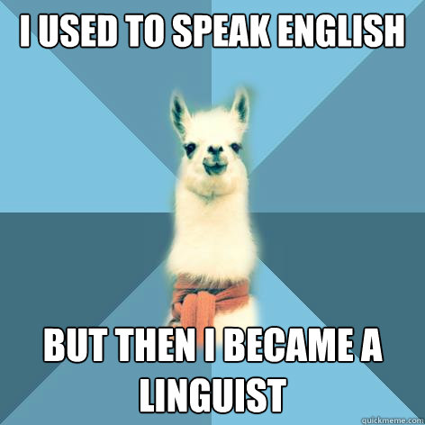 I used to speak english But then I became a linguist  Linguist Llama
