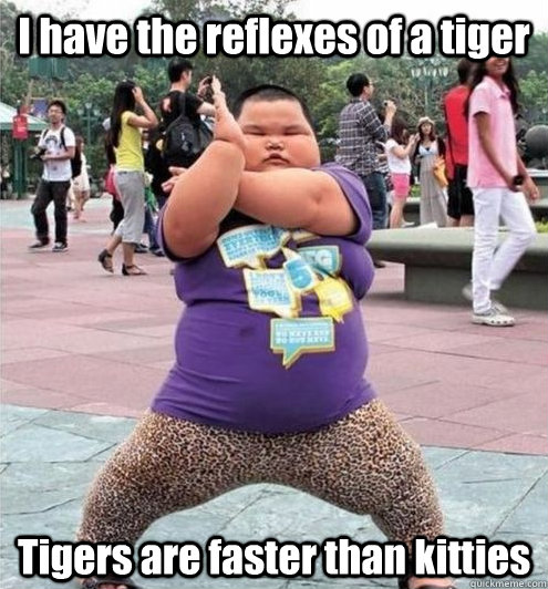 I have the reflexes of a tiger Tigers are faster than kitties  Fat chinese kid