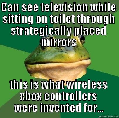 CAN SEE TELEVISION WHILE SITTING ON TOILET THROUGH STRATEGICALLY PLACED MIRRORS THIS IS WHAT WIRELESS XBOX CONTROLLERS WERE INVENTED FOR... Foul Bachelor Frog